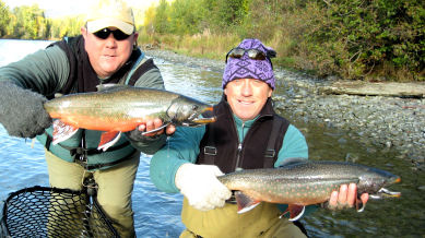 Dolly Varden: What are they? In simple terms, they are char which puts ...